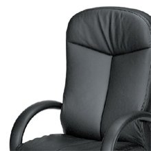 It is the dignifying chair for the executives with luxurious design, solid structure, and various functions.