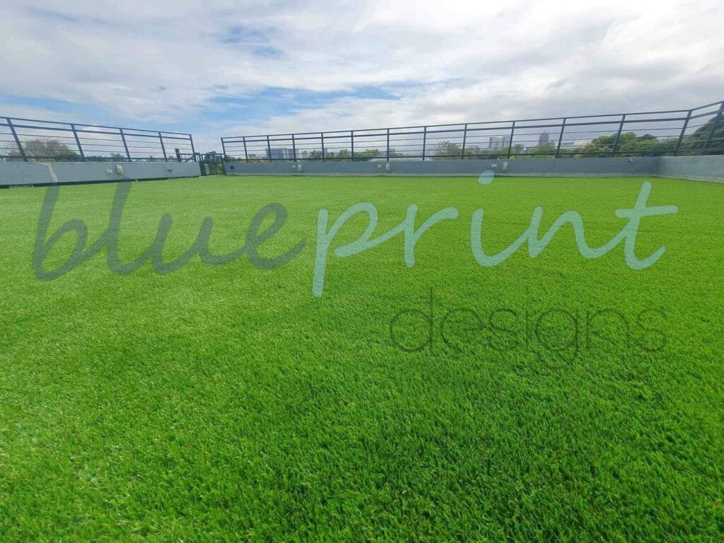 real-grass-vs-fake